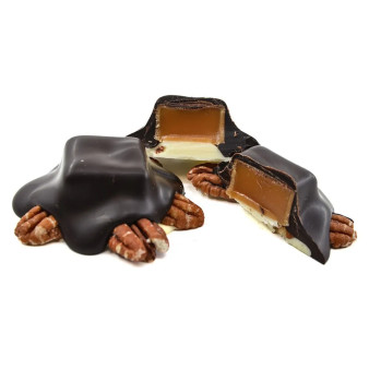 image of Dark Choc. Caramel Pecan Turtle - Lil' Turtle