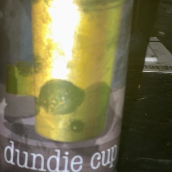 image of 450 North Brewing - Dundie Cup - 16oz