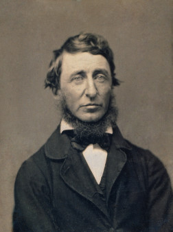 image of #73 The Henry D. Thoreau