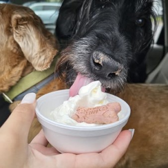 image of Pup Cup