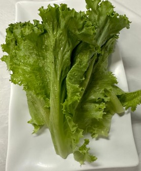 image of A20. Salad Leaves
