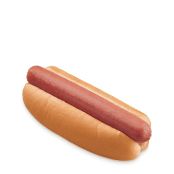 image of The Boom Boom dog