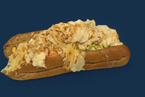 image of 33. TURKEY SUB