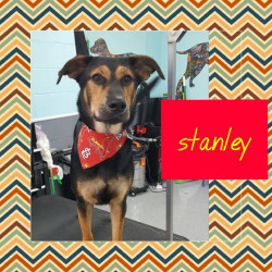 Stanley