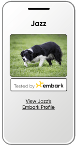 Embark  Logo Design Love