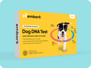 Stevenson Bliv overrasket de Embark dog DNA test kit – Embark Vet