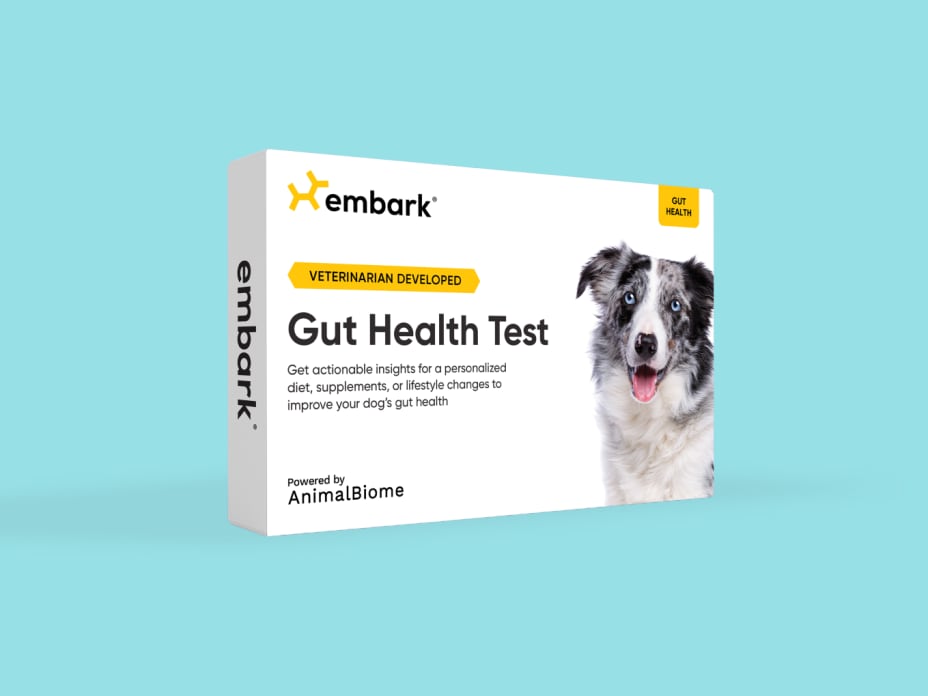 Gut Health Test