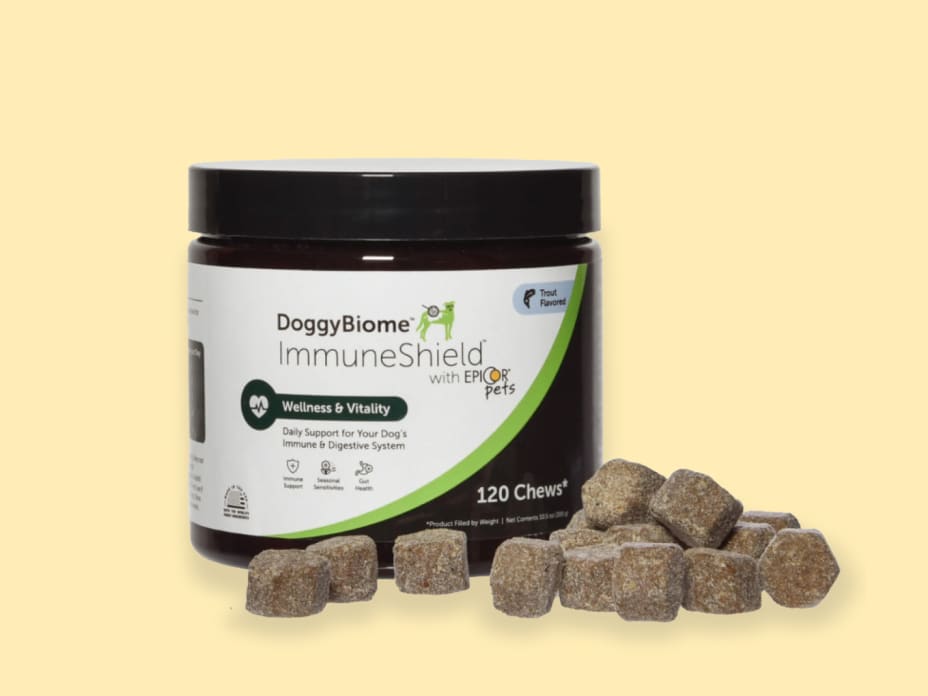 ImmuneShield™ with Epicor® Chews