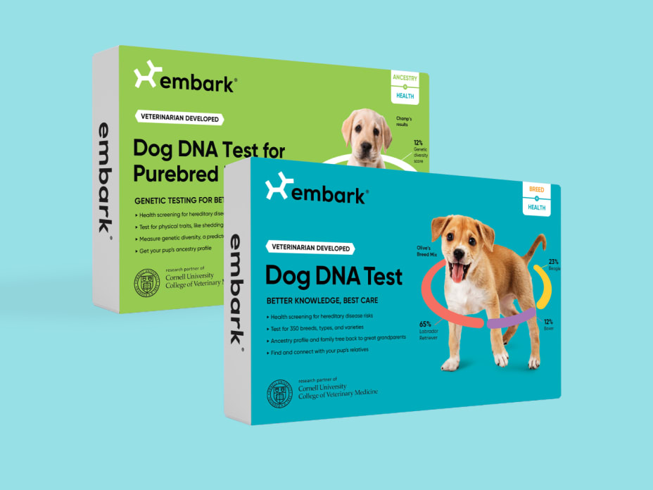 Breed + Health DNA Test
