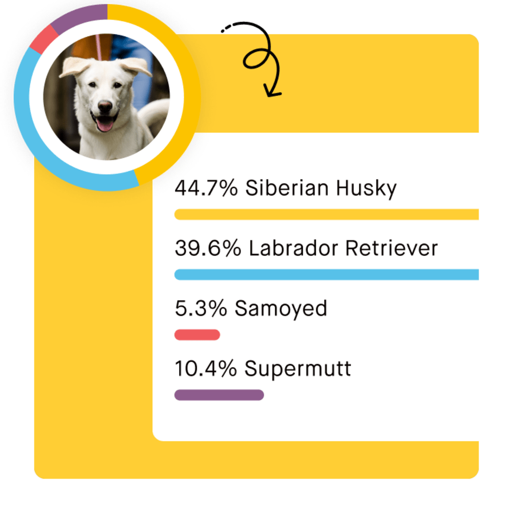 Embark Dog DNA Test - Breed