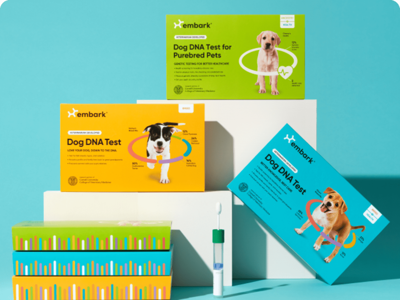 Embark Dog DNA Test: Their best life starts Embark.