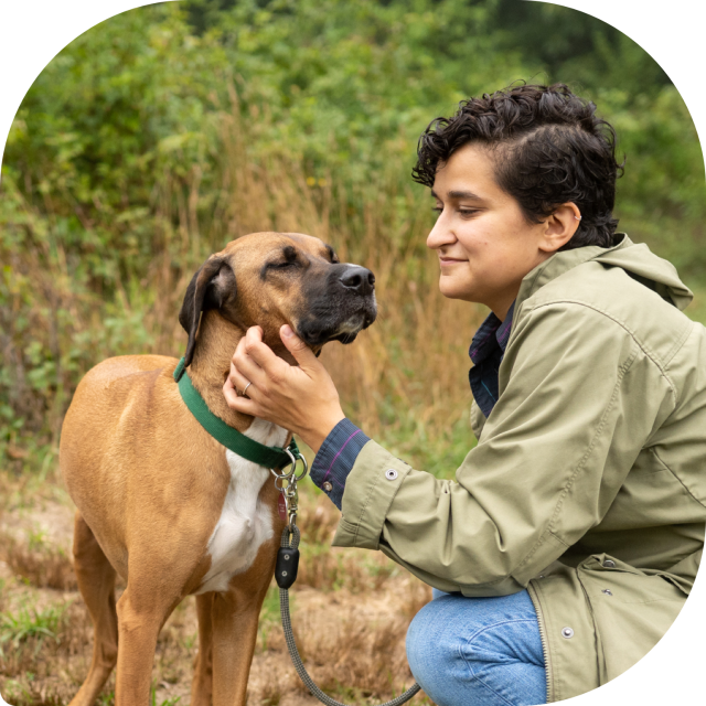 Cornell Startup Embark Founded to Assess Various Dogs' Genealogy - The  Cornell Daily Sun