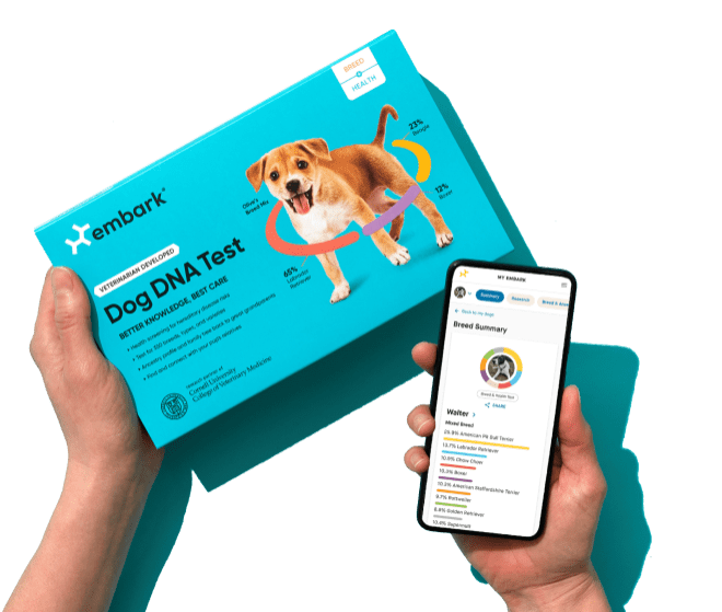 Embark Dog DNA Test Tutorial - How to Swab Your Dog [2020] 