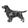 Field Spaniel