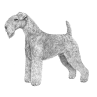 Lakeland Terrier