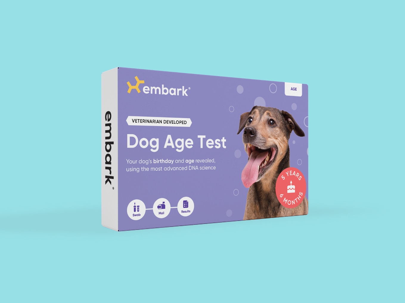 Embark Vet DNA Test Kit for Purebred Dogs