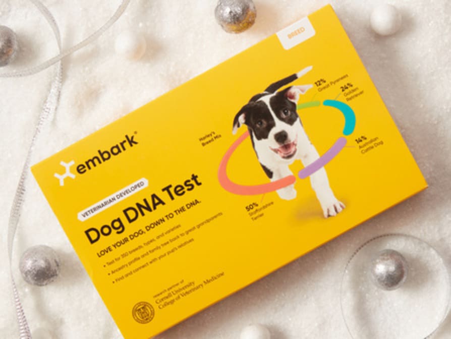 Embark Breed Identification DNA Test for Dogs