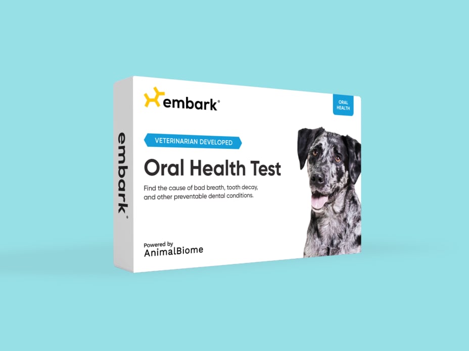 Oral Health Test