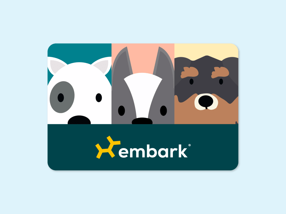 Embark eGift Card