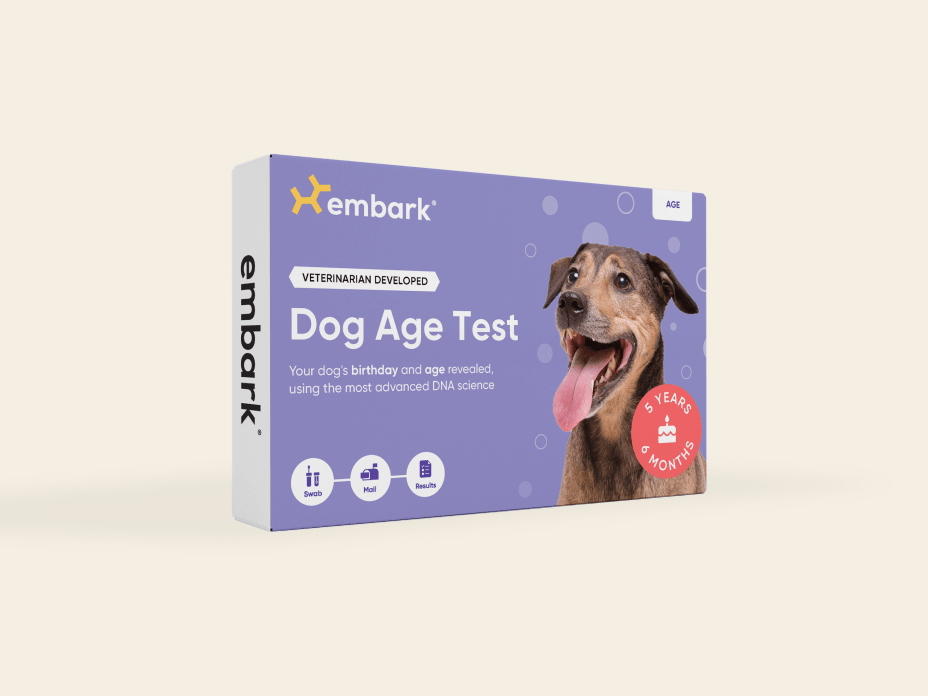 Dog Age Test