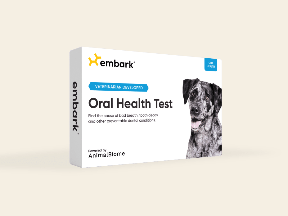 Oral Health Test