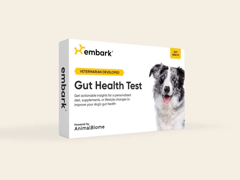 Gut Health Test