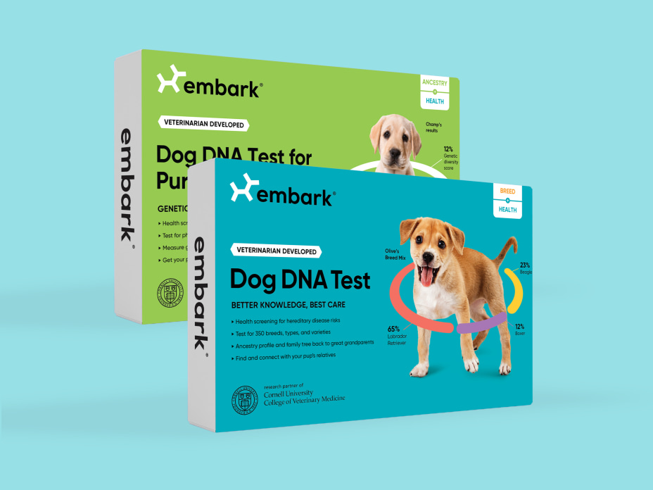 Breed + Health DNA Test