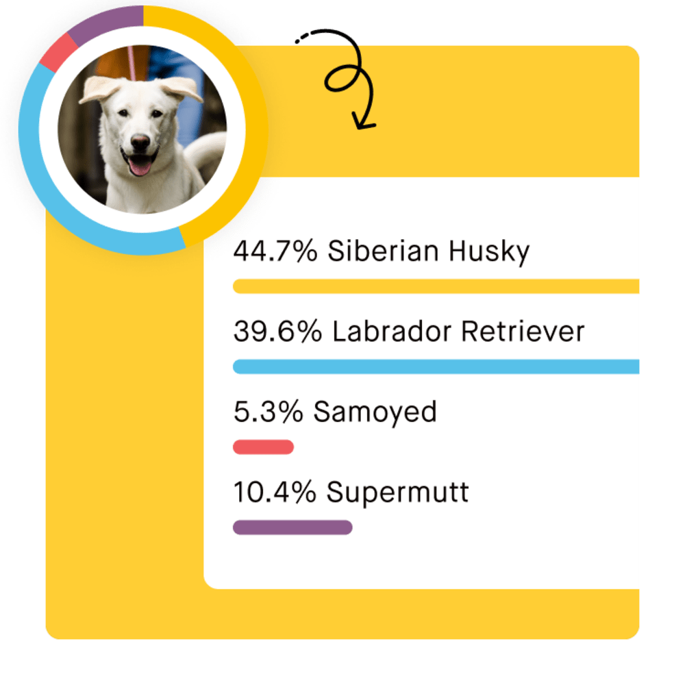 Dog top dna report