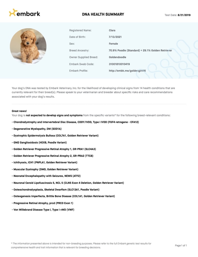 Dna reports online for dogs