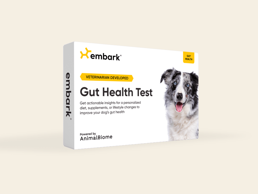 Embark Review 2023: At-Home Genetic Test for Pets
