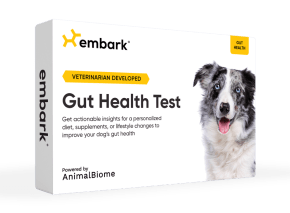 Gut Health Test