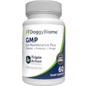 Gut Maintenance Plus