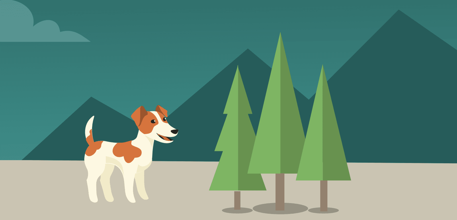 Hiking infographic header illustrated dog and trees