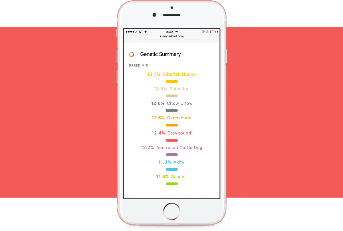 Embark Tests For Over 350 Breeds Dog Ancestry Embark