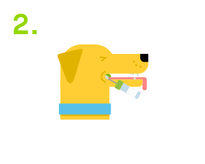 step 2 swab your dog