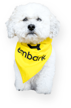 embark affiliate mascot dog