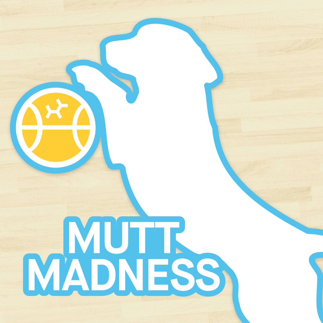 Mutt Madness Embarkvet