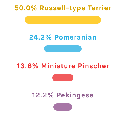 test del DNA del cane Penny