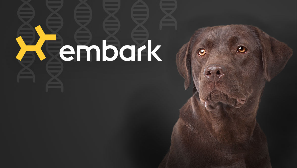 TUTORIAL VIDEO How to Find, Submit OFA Report Embarkvet