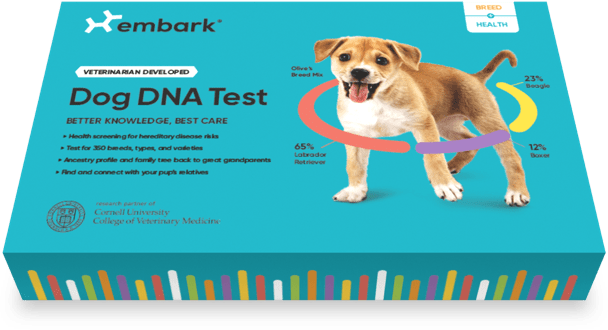 embark dog dna kit test box