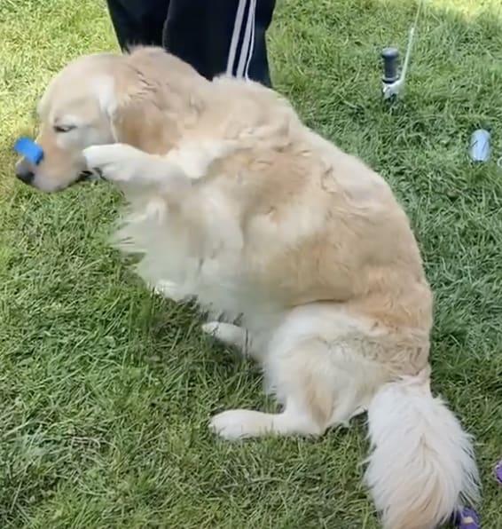 Golden Takes Tape Test