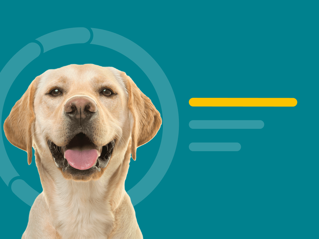 Which dog dna test is discount most accurate