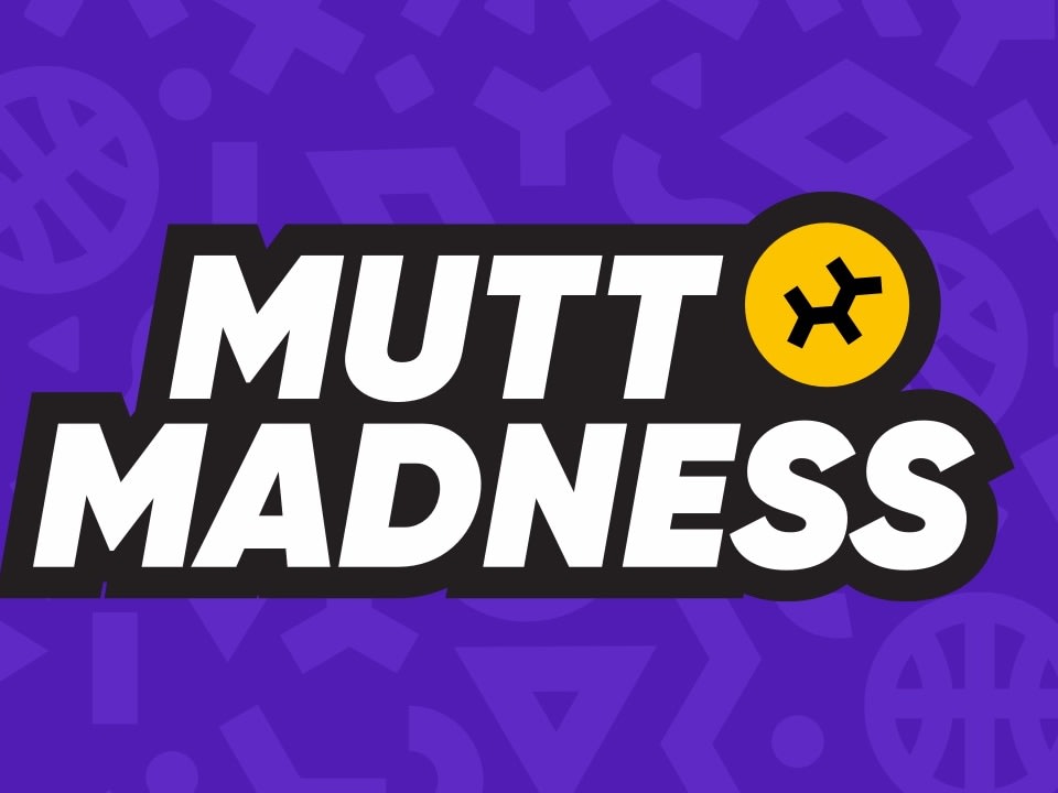 How To Teach Your Dog To Play Basketball Embarkvet