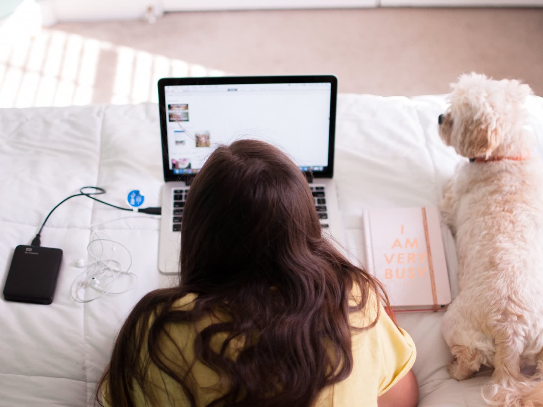 5 Tips for Working From Home With Dogs Embarkvet