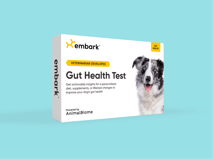Embark Dog DNA Test: Know your