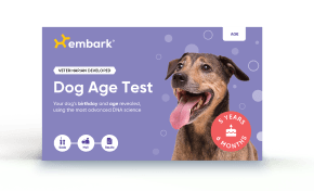 Dog Age Test