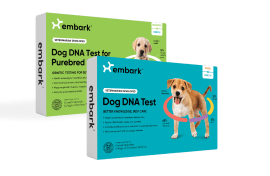 Breed + Health DNA Tests