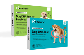 S. Boulardii & Daily Probiotic Powder For Dogs – Embark Vet