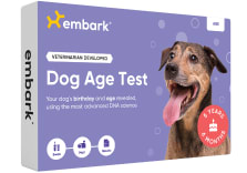 dog age test