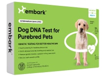 purebred dog dna test